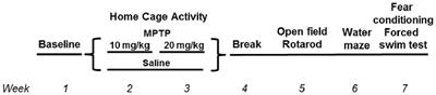 Effects of Sub-Chronic MPTP Exposure on Behavioral and Cognitive Performance and the Microbiome of Wild-Type and mGlu8 Knockout Female and Male Mice